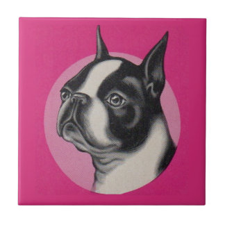 Boston terrier ceramic tile
