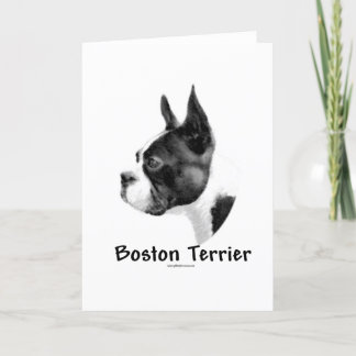 Boston Terrier Charcoal 2 Holiday Card