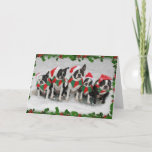 Boston Terrier Christmas Card