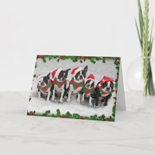 Boston Terrier Christmas Card