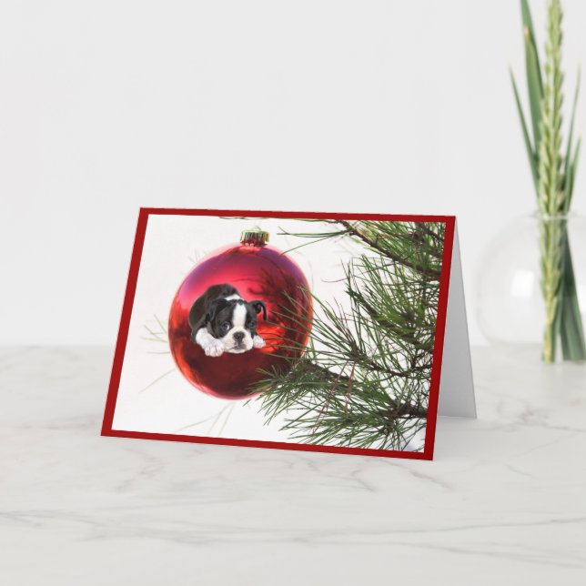 Boston Terrier Christmas Card Ball (Front)