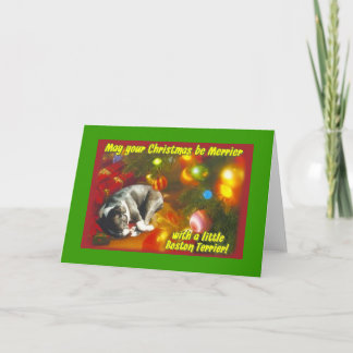 Boston Terrier Christmas Holiday Card