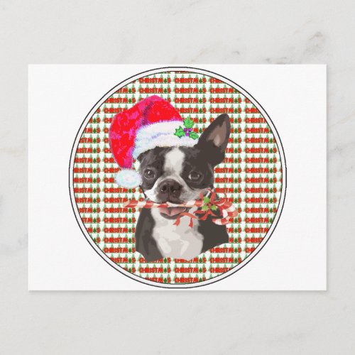 Boston Terrier Christmas Holiday Postcard