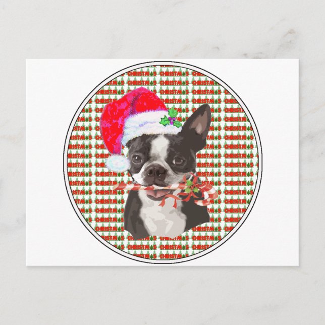Boston Terrier Christmas Holiday Postcard (Front)