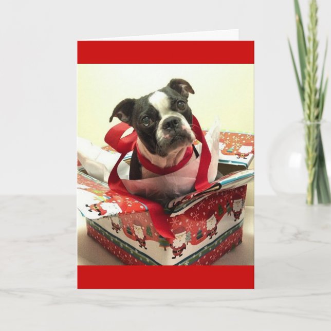 Boston Terrier Christmas Present Card (Front)