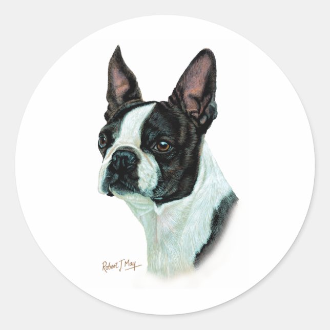 Boston Terrier Classic Round Sticker (Front)