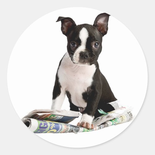 BOSTON TERRIER CLASSIC ROUND STICKER