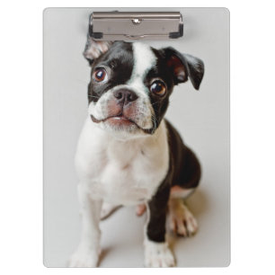 Boston Terrier Clipboard