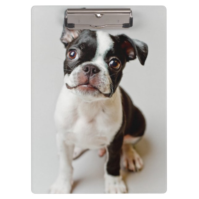 Boston Terrier Clipboard (Front)