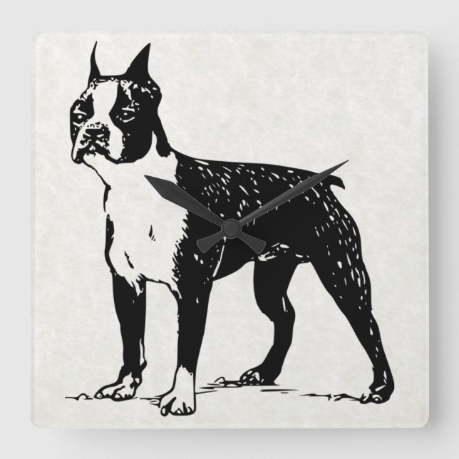 boston terrier clock (Front)