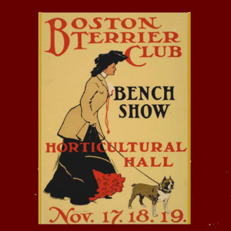 Boston Terrier Club Postcard
