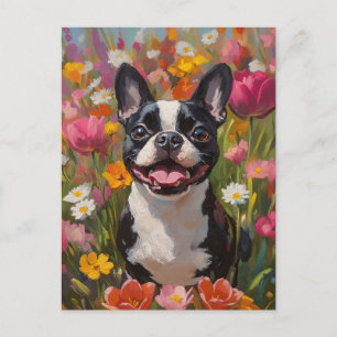 Boston Terrier Colorful Wildflower Field Postcard