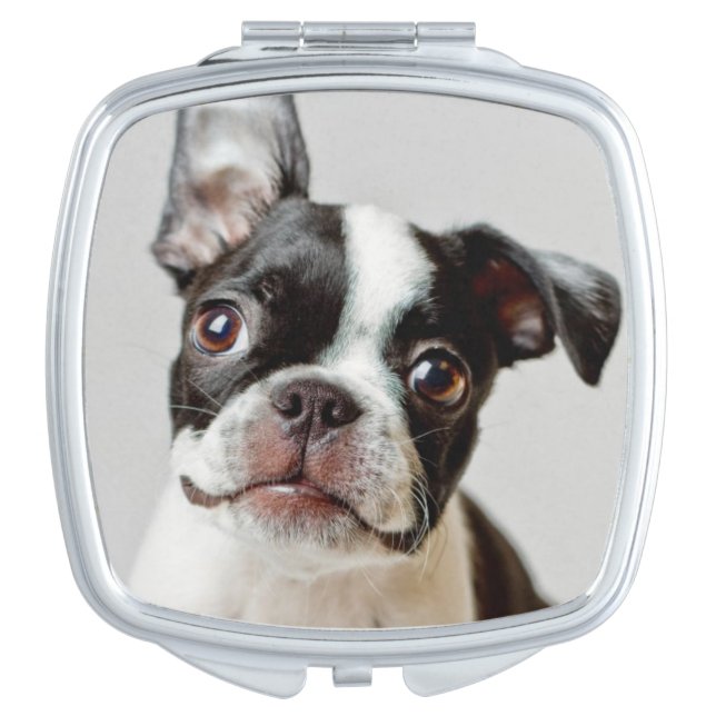 Boston Terrier Compact Mirror (Front)