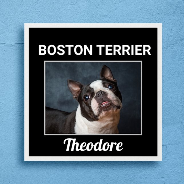 Boston Terrier Custom Dog Poster (Creator Uploaded)