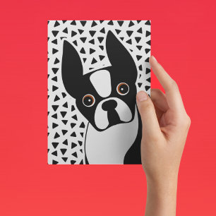 Boston Terrier Cute Black and White Postcard