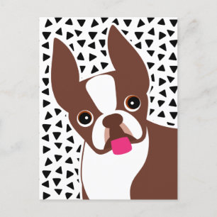 Boston Terrier Cute Brown and White Postcard