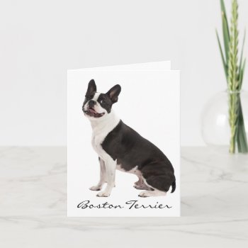 Boston Terrier Ddog Beautiful Custom Photo Card by roughcollie at Zazzle