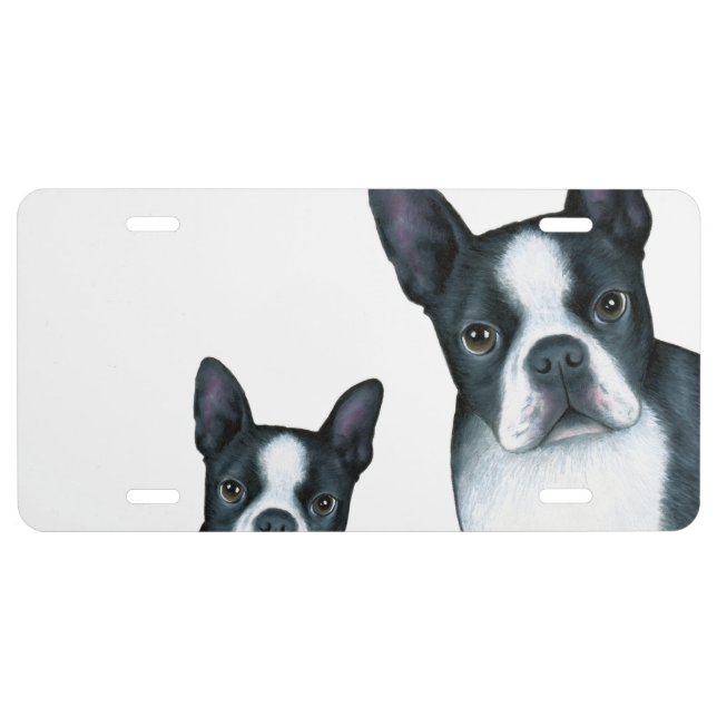 Boston Terrier Dog 128 black and white License Plate (Front)