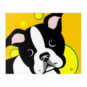 Boston Terrier Dog Acrylic Print