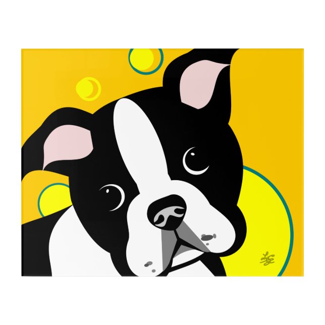 Boston Terrier Dog Acrylic Print (Front)