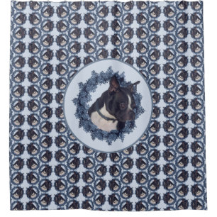 Boston Terrier Dog Animal Shower Curtain