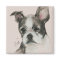 Boston Terrier Dog Art Magnet