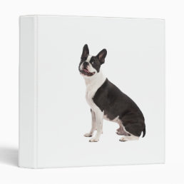 Boston Terrier dog beautiful photo album, binder