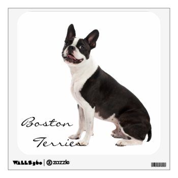 Boston Terrier Dog Beautiful Photo Custom Gift Wall Sticker by roughcollie at Zazzle