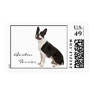 Boston Terrier Postage Stamps | Zazzle