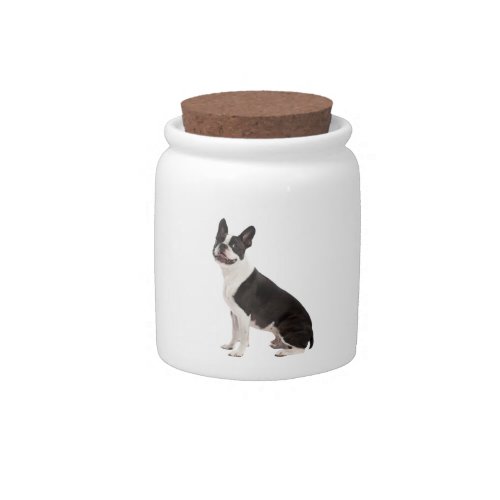 Boston Terrier dog beautiful photo gift Candy Jar