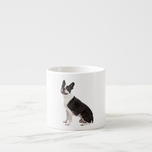 Boston Terrier dog beautiful photo gift Espresso Cup