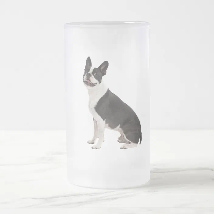 BOSTON TERRIER dog bathroom art  PRINT 11x17 glossy photo animals 