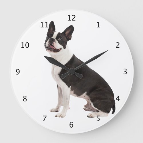 Boston Terrier dog beautiful photo wall clock gift