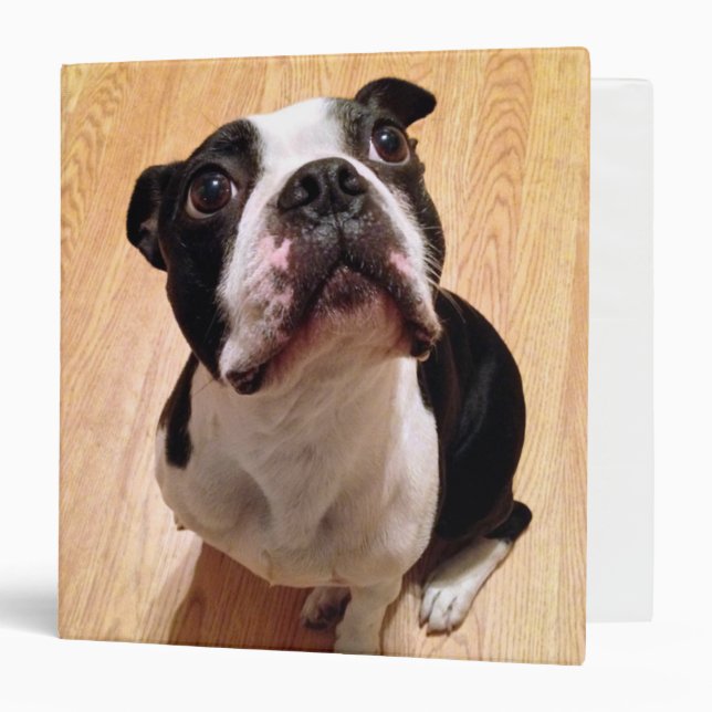 Boston Terrier Dog Binder (Front/Inside)