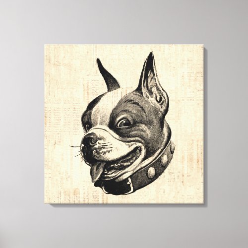 Boston Terrier Dog Cute Pet Dog Antique Art Canvas Print