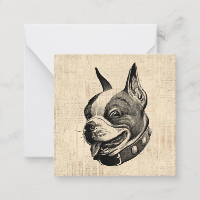 Boston Terrier Dog Cute Pet Dog Antique Art Note Card (Front)