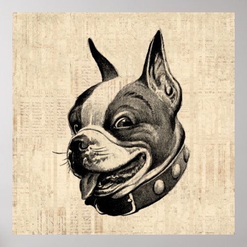 Boston Terrier Dog Cute Pet Dog Antique Art Poster
