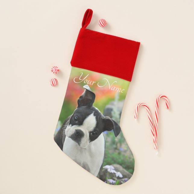 Boston Terrier Dog Cute Puppy Animal Head - Name - Christmas Stocking (Front)