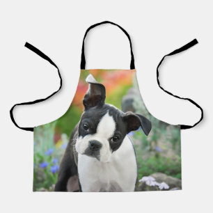 Boston Terrier Dog Cute Puppy Animal Head Photo -- Apron