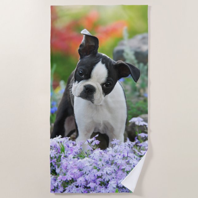 Boston Terrier Dog Cute Puppy Animal Head Photo , Beach Towel (Front)