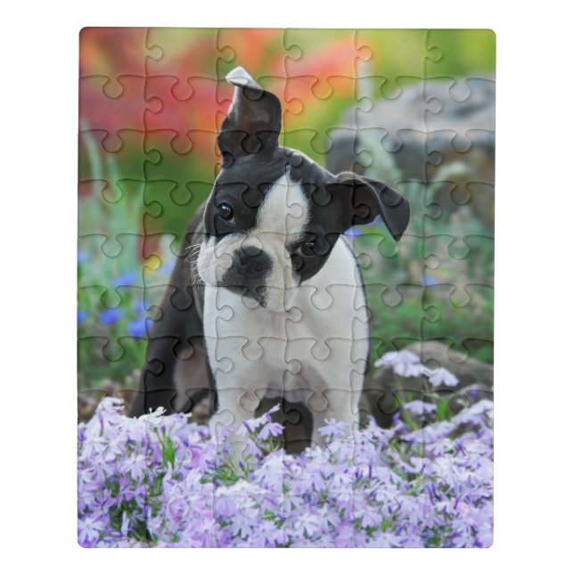 Boston Terrier Dog Cute Puppy Animal Head Photo ** Jigsaw Puzzle (Puzzle Vertical)