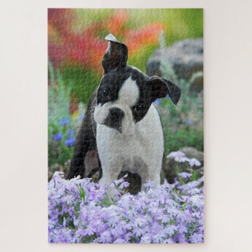 Boston Terrier Dog Cute Puppy Animal Head Photo __ Jigsaw Puzzle