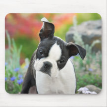 Mouse Pad Dibujo Boston Terrier Negro 8 X 8 Pulgadas Mouse Pad Dibujo Boston Terrier Negro 8 X 8 Pulgadas