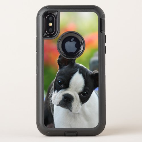 Boston Terrier Dog Cute Puppy Animal Head Photo __ OtterBox Defender iPhone X Case