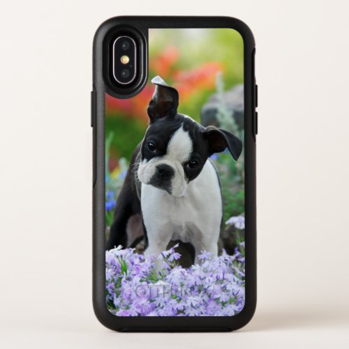 Boston Terrier Dog Cute Puppy Animal Head Photo _ OtterBox Symmetry iPhone X Case