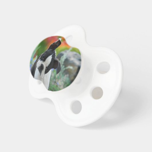 Boston Terrier Dog Cute Puppy Animal Head Photo . Pacifier (Front Right)