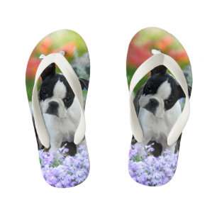 Boston Terrier Dog Cute Puppy Animal Photo - Kids Kid's Flip Flops