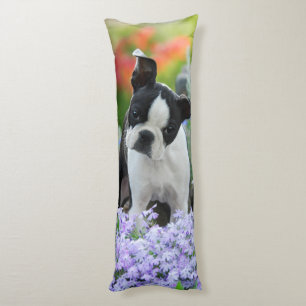 Boston Terrier Dog Cute Puppy, cuddly Body Pillow