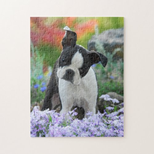 Boston Terrier Dog Cute Puppy Game 11x14 Jigsaw Puzzle