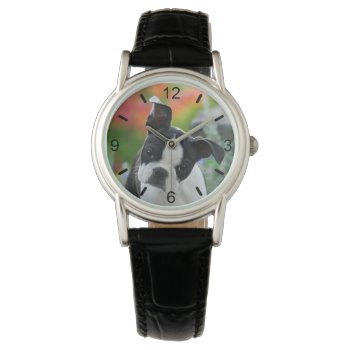 Boston Terrier Dog Cute Puppy Head -- Dial-plate Watch by Kathom_Photo at Zazzle